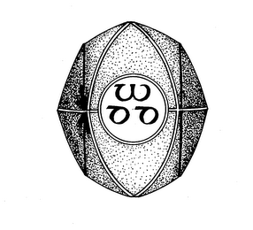 WDD logo