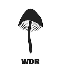 WDR logo