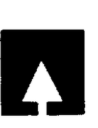 WE BRING TIMBERTHINGS TO LIFE. logo