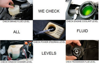 WE CHECK ALL FLUID LEVELS / CHECK BRAKE FLUID LEVEL/CHECK ENGINE COOLANT LEVEL/CHECK POWER STEERING LEVEL/CHECK WINDOW WASHER LEVEL/CHECK TRANSMISSION FLUID LEVEL logo