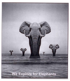 WE EXPLORE FOR ELEPHANTS... logo
