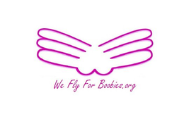 WE FLY FOR BOOBIES.ORG logo