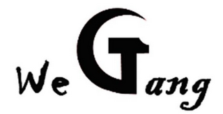 WE GANG logo
