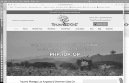 WE HAVE A VISUAL LOGO EITHER IN COLOR OR BLACK AND WHITE PLUS THE WORDS TRAUMA & BEYOND ARE REGISTERED HENCE THE R MARK IN A CIRCLE NEXT TO THE D logo