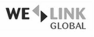 WE LINK GLOBAL logo