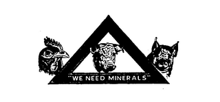 WE NEED MINERALS logo
