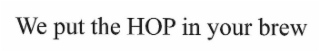WE PUT THE HOP IN YOUR BREW logo