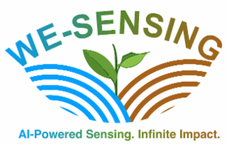 WE-SENSING AI-POWERED SENSING. INFINITE IMPACT. logo
