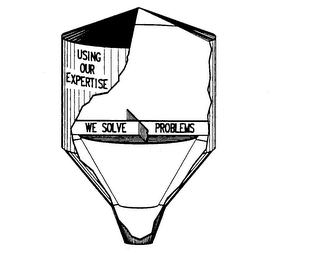 WE SOLVE PROBLEMS USING OUR EXPERTISE logo