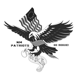 WE THE PEOPLE NM PATRIOTS GO ROGUE! logo