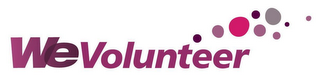 WE VOLUNTEER logo