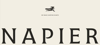 WE WAKE SLEEPING GIANTS NAPIER logo