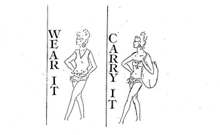 WEAR IT CARRY IT logo