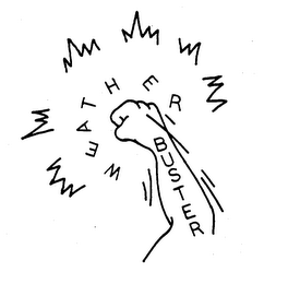 WEATHER BUSTER logo