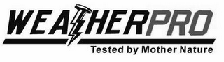 WEATHER PRO TESTED BY MOTHER NATURE logo