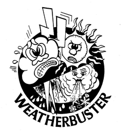 WEATHERBUSTER logo
