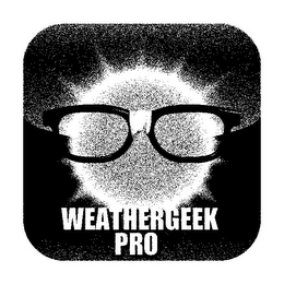 WEATHERGEEK PRO logo