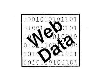 WEB DATA