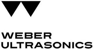 WEBER ULTRASONICS logo