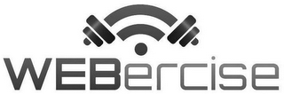 WEBERCISE logo