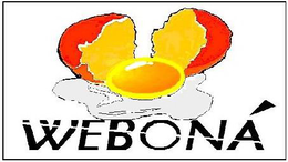 WEBONÁ logo