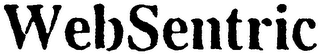 WEBSENTRIC logo
