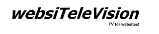 WEBSITELEVISION TV FOR WEBSITES! logo