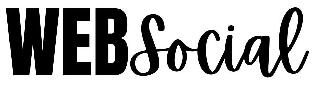 WEBSOCIAL logo
