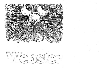 WEBSTER logo