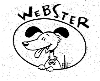 WEBSTER logo