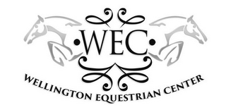 WEC WELLINGTON EQUESTRIAN CENTER logo