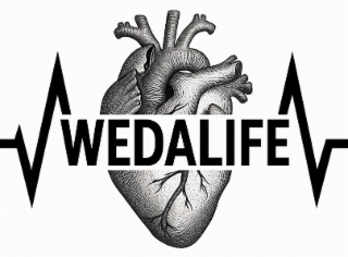 WEDALIFE logo