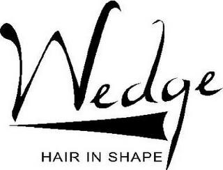 WEDGE HAIR IN SHAPE logo