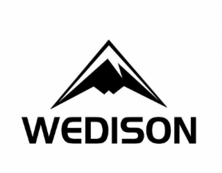 WEDISON logo