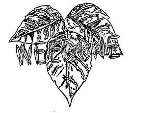 WEDONE logo