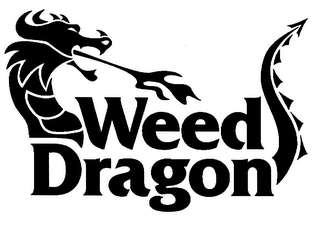 WEED DRAGON logo