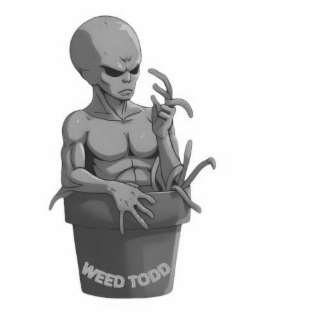 WEED TODD logo