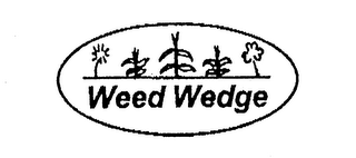 WEED WEDGE logo