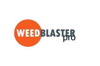 WEEDBLASTER PRO logo