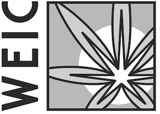 WEIC logo