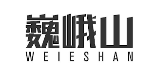 WEIESHAN logo