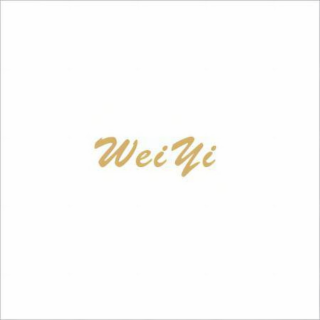 WEIYI logo