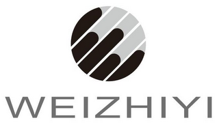 WEIZHIYI logo