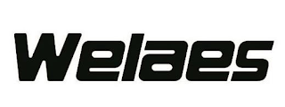 WELAES logo
