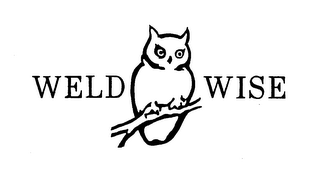 WELD WISE logo