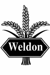 WELDON logo
