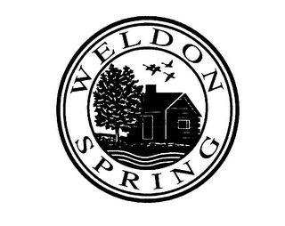 WELDON SPRING logo