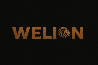 WELIN logo