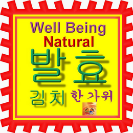 WELL BEING NATURAL logo