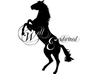 WELL ENDOWED logo